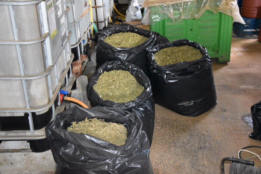 28102025-messinia-narkwtika-syllipsi-2.jpg?v=0