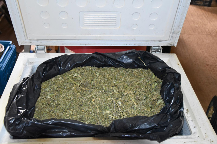 28102025-messinia-narkwtika-syllipsi-4.jpg?v=0 28102025-messinia-narkwtika-syllipsi-4.jpg?v=0