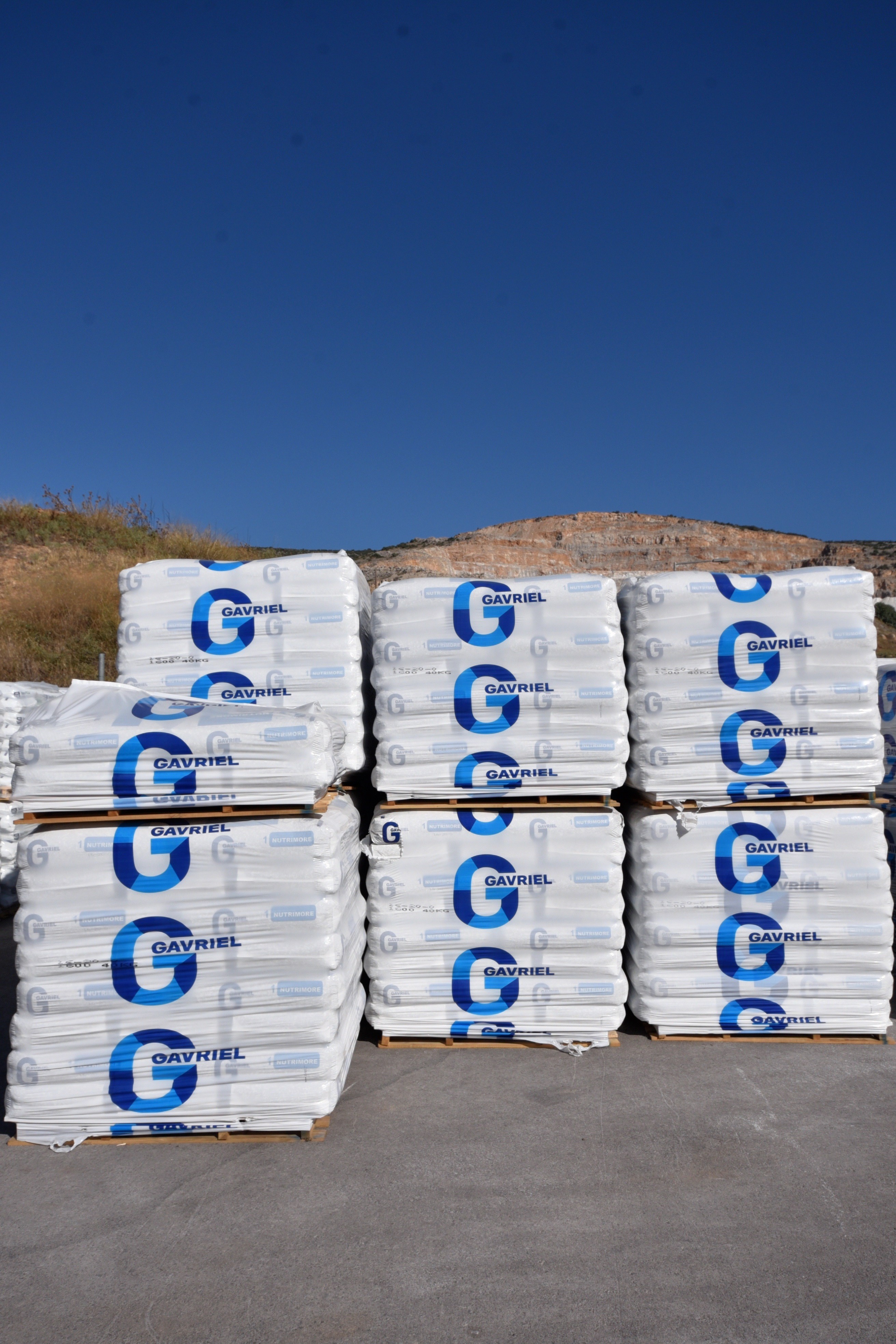 gavriel2.jpg?v=0 gavriel2.jpg?v=0