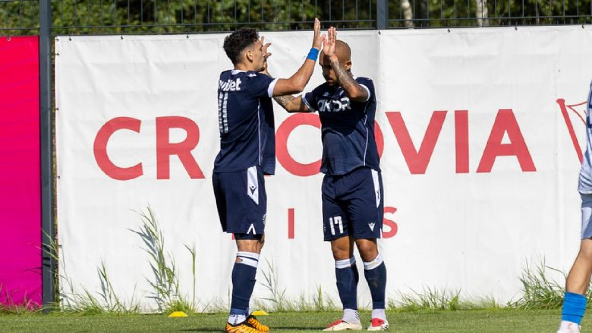 asteras-9.jpg asteras-9.jpg