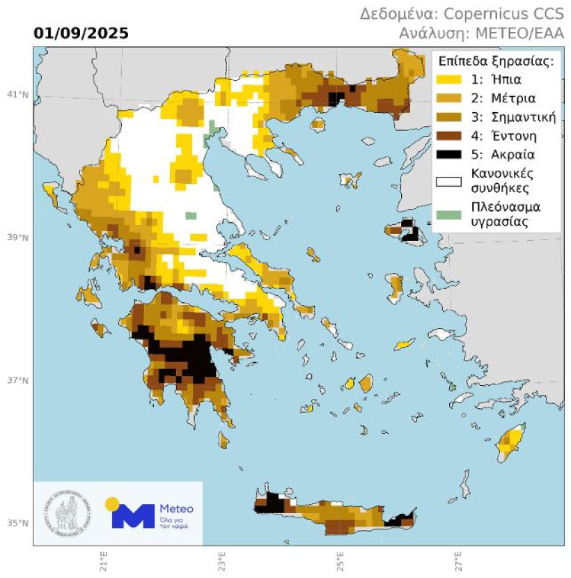 Δελτίο Τύπου Δελτίο Τύπου