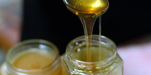 Γιορτή μελιού & καρυδιού στο Ροεινό