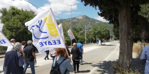 Εκδήλωση της Επιτροπής Ειρήνης Αρκαδίας στις 13 Ιανουαρίου