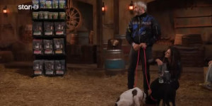 Η "Φάρμα" βρήκε σπίτι σε 39 αδεσποτάκια του Πολιτιστικού-Φιλοζωϊκού Συλλόγου Τρίπολης