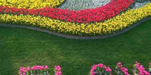 Το Μουσικό Σχολείο Τρίπολης συμμετείχε σε καινοτόμο σεμινάριο ERASMUS+ στο Άμστερνταμ