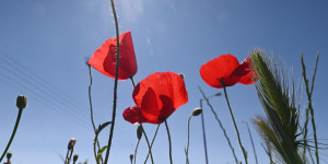 Τρίπολη: Ο καιρός σήμερα, Δευτέρα 15 Δεκεμβρίου