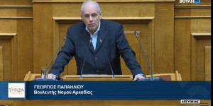Γ. Παπαηλιού: η επέτειος της 28ης Οκτωβρίου αποτελεί ευκαιρία επανασύνδεσης με το νήμα της Ιστορίας