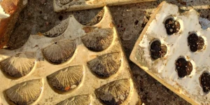 Μια «χαμένη» σοκολατοποιία αποκαλύφθηκε στη Βαρσοβία μετά από δεκαετίες