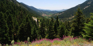 ΣΑΟΟ: Αφορμή για δράση ενάντια στη λεηλασία η Παγκόσμια Ημέρα Βουνού