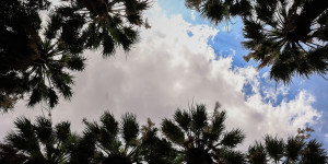 Τρίπολη: Ο καιρός σήμερα, 31 Μαΐου