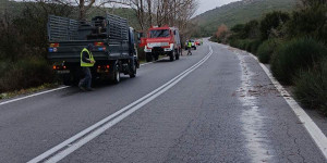 Πτώσεις δένδρων στην Παλιά Εθνική Οδό  "Τρίπολης - Σπάρτης"