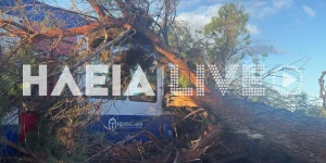 Δέντρο έπεσε πάνω σε εν κινήσει τρένο στον Πύργο!