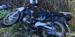 Στοχευμένη αστυνομική επιχείρηση στον δήμο Καλαμάτας το πρωί της Τετάρτης