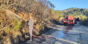 Γορτυνία: Κατασβέστηκε άμεσα φωτιά στο Βλόγγο