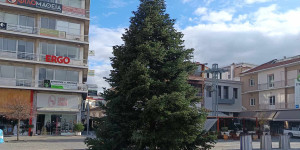 Έλατα για τον χριστουγεννιάτικο διάκοσμο αναζητεί ο δήμος Τρίπολης