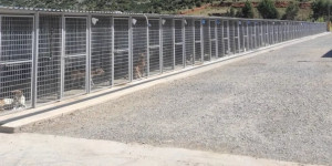 "Καταβάλουμε κάθε δυνατή προσπάθεια για την ευημερία των αδέσποτων ζώων του δήμου μας"