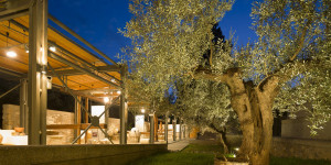 Παραμύθια και ιστορίες με τη Σάσα Βούλγαρη στο Μουσείο Ελιάς και Ελληνικού Λαδιού