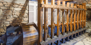 Εκπαιδευτική δράση για τους μαθητές και τις μαθήτριες του Δημοτικού Σχολείου Δημητσάνας