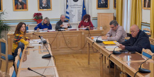 Έργα υποδομής, υγεία και δακοκτονία στο επίκεντρο της Περιφερειακής Επιτροπής