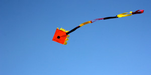 Δημιουργικό εργαστήρι στο Μουσείο Περιβάλλοντος Στυμφαλίας