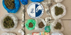 Εξάρθρωση εγκληματικής οργάνωσης που καλλιεργούσε και διακινούσε σημαντικές ποσότητες κάνναβης