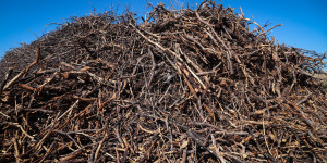 Μέχρι τις 30 Απριλίου η προθεσμία για τον καθαρισμό οικοπέδων