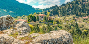 Με τον ΕΟΣ Τρίπολης στο ελατόδασος του Βαλτεσινίκου