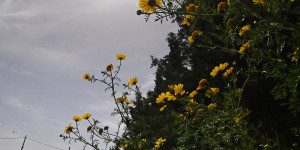 Τρίπολη: ο καιρός σήμερα, 15 Σεπτεμβρίου