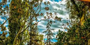 Τρίπολη: ο καιρός σήμερα, 11 Ιουνίου