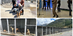 Η Παγκόσμια Ημέρα Αδέσποτων Ζώων στο Δήμο Τρίπολης