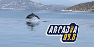 Δελφίνια κάνουν βόλτα στον Αργολικό κόλπο (vid)