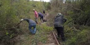 ΣΑΟΟ: Δράσεις για την επαναλειτουργία του τρένου την Κυριακή 1η Ιουνίου
