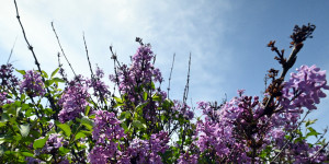 Τρίπολη: ο καιρός σήμερα, 12 Ιουνίου