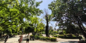 Τρίπολη: Ο καιρός σήμερα, 15 Ιουνίου