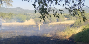 Πυρκαγιά πολύ κοντά στην Τοπική Κοινότητα Θάνα το πρωί της Τετάρτης