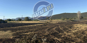 Νεότερη ενημέρωση: Σε ύφεση η πυρκαγιά και στα δύο μέτωπα στο Δήμο Τρίπολης