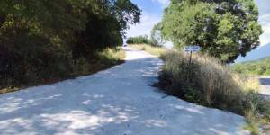 Επιστολή Σ.Α.Ο.Ο. προς το Δασαρχείο Βυτίνας με αφορμή έργα οδοποιίας στο Μαίναλο