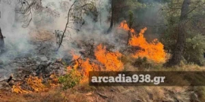 Μεγαλόπολη: Φωτιά σε δασική έκταση