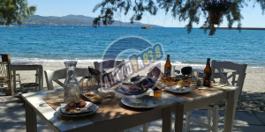 Το "ψέμα" και η "κλοπή" ως καθοριστικοί παράγοντες διαμόρφωσης της νεοελληνικής κουλτούρας