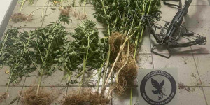 Από το Τμήμα Δίωξης και Εξιχνίασης Εγκλημάτων Τρίπολης συνελήφθησαν δύο άτομα