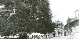 Ένταξη μνημειακού πλατάνου Αγίου Ιωάννη Αρκαδίας στο Δίκτυο Αιωνόβιων Δέντρων Ελληνικής Επανάστασης