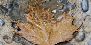 Τρίπολη: ο καιρός σήμερα, 17 Οκτωβρίου