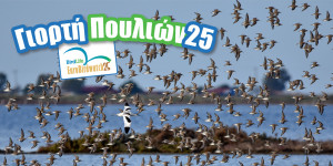 Εκδηλώσεις και στην Αρκαδία για την Ευρωπαϊκή Γιορτή των Πουλιών