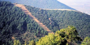 Σε εξέλιξη έργα για αντιπυρικές ζώνες πέριξ οικισμών στο Δήμο Γορτυνίας