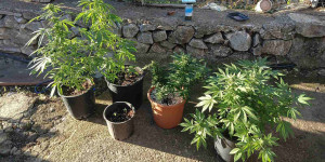 Χειροπέδες σε 24χρονο για υπόθεση ναρκωτικών