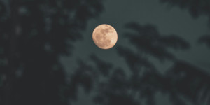 Έρχεται το «φεγγάρι του κάστορα» - Η υπερπανσέληνος του Νοεμβρίου θα είναι η μεγαλύτερη του 2025