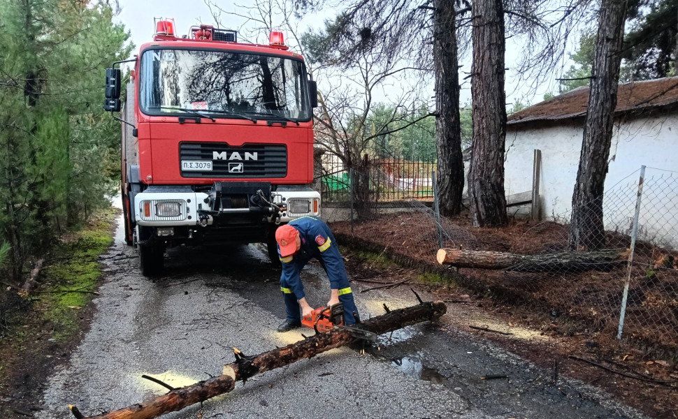 Δελτίο Τύπου