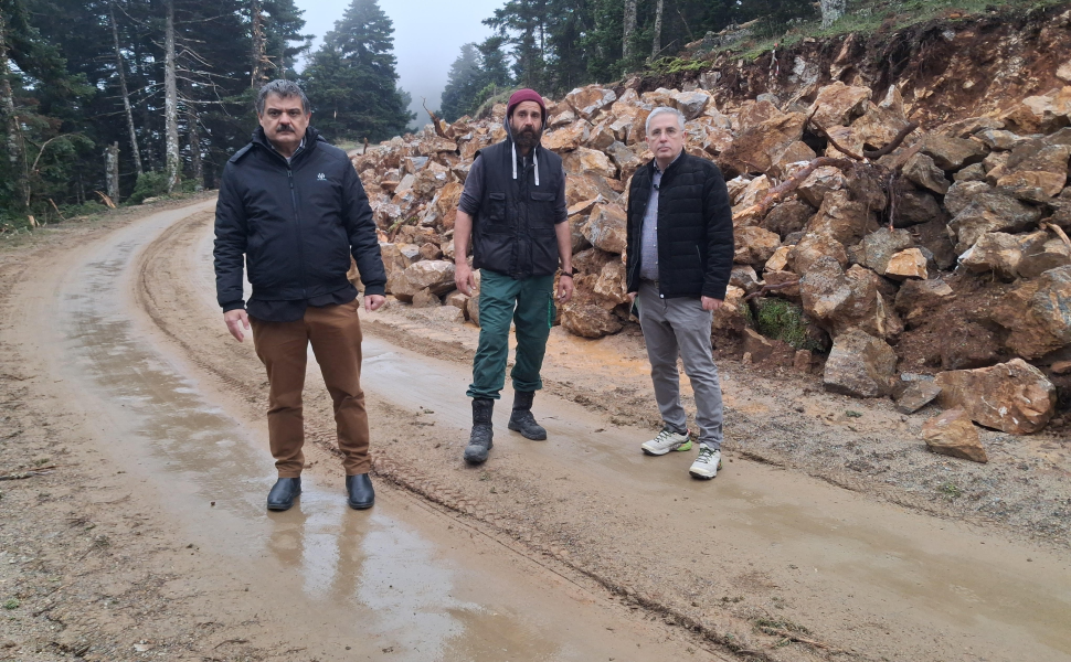 Δε΄λτίο Τύπου