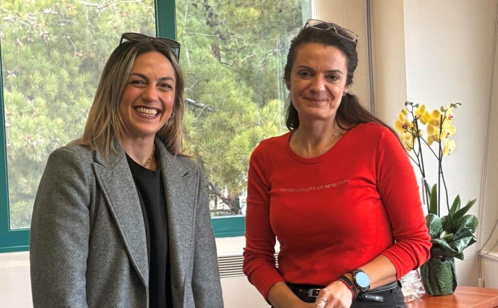 Δελτίου Τύπου / ΠΓΝΤ