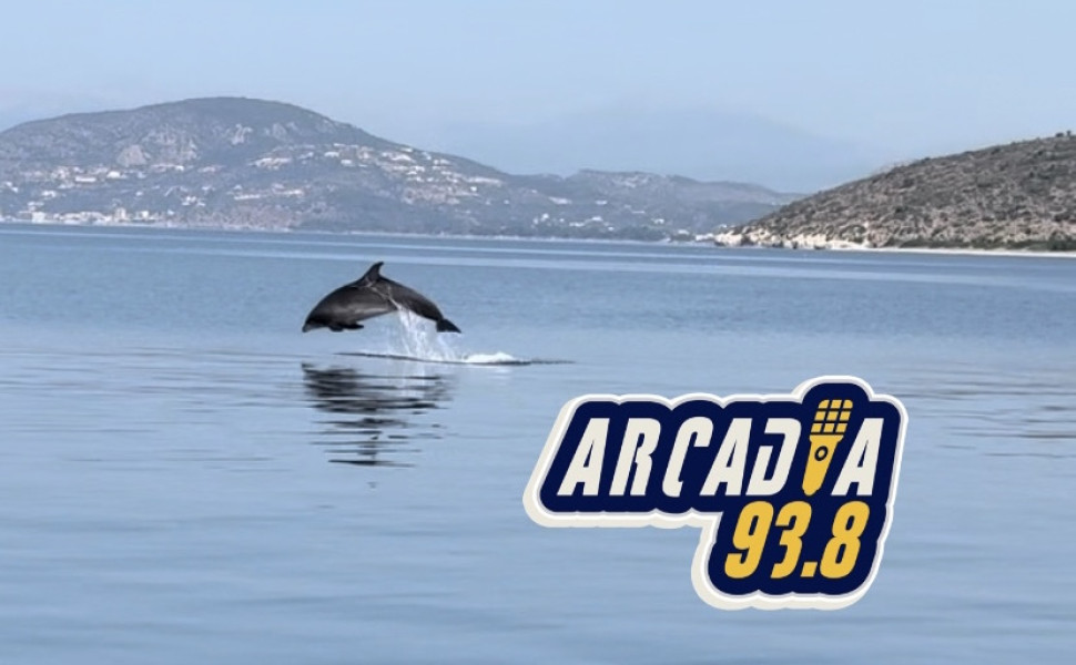 arcadia938